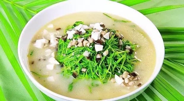 淡菜炖豆腐汤，滋养身心的一碗鲜美汤品