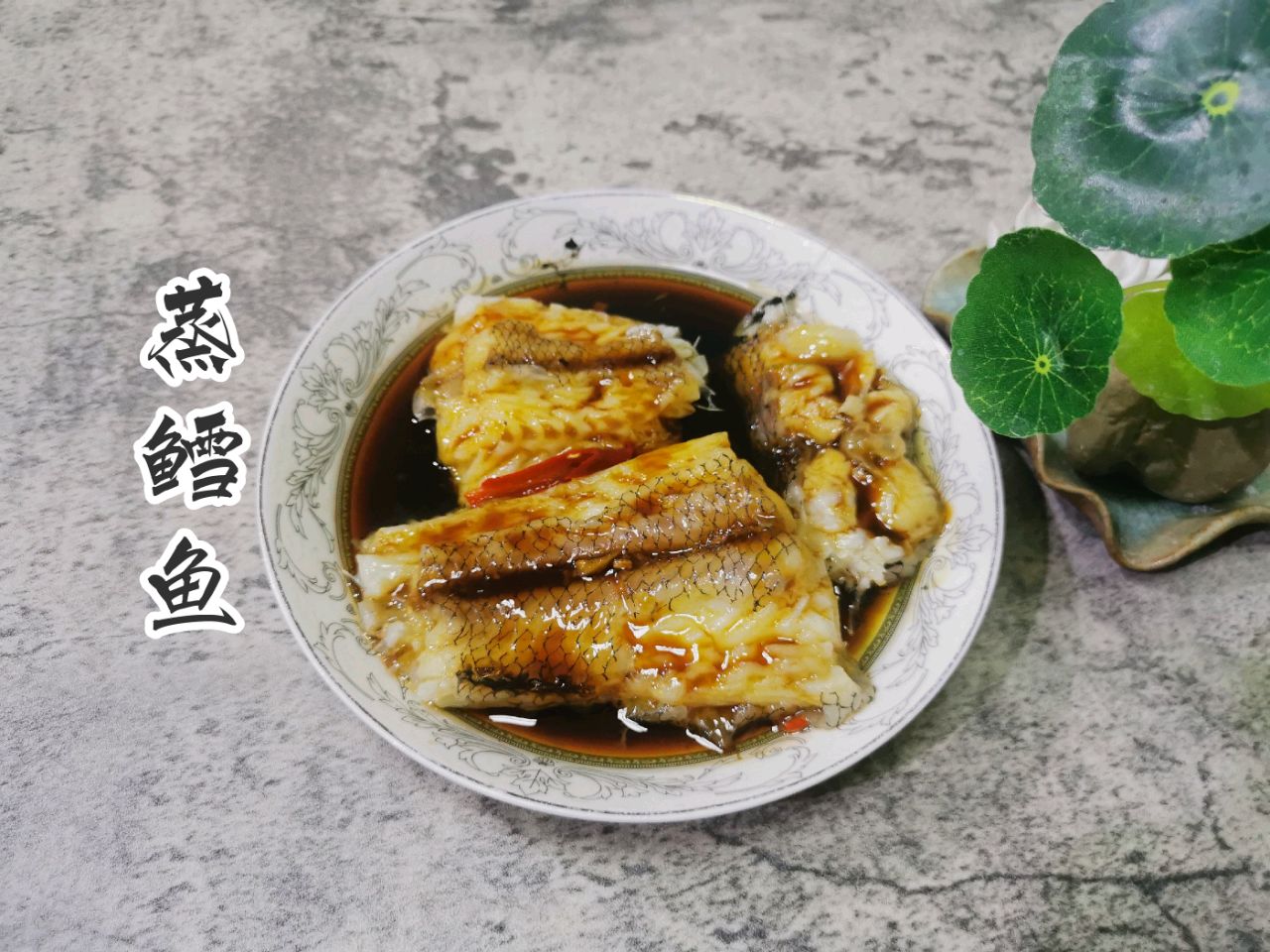 鳕鱼的营养美食之旅，解锁鳕鱼的健康烹饪秘诀