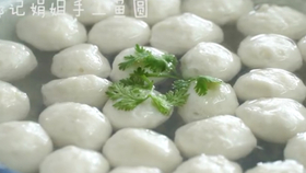 手工鱼圆的做法视频