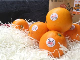 湖南橙子糖，传统与创新交织的美味回忆