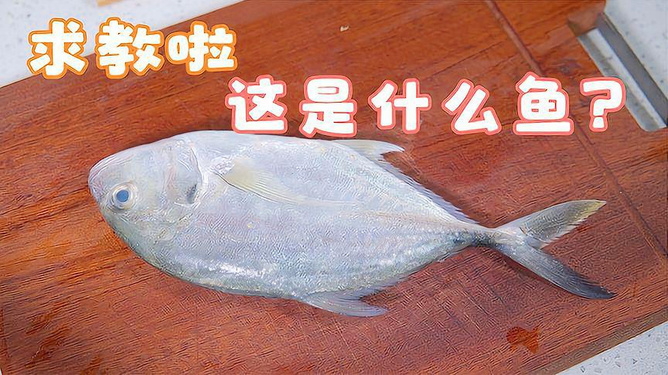 海鱼去皮鱼的家常做法