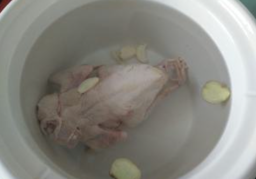 宝宝去火鸽子汤的做法