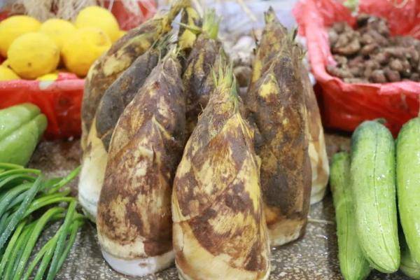 凤鲚之美，营养丰富、做法简单的海上珍馐