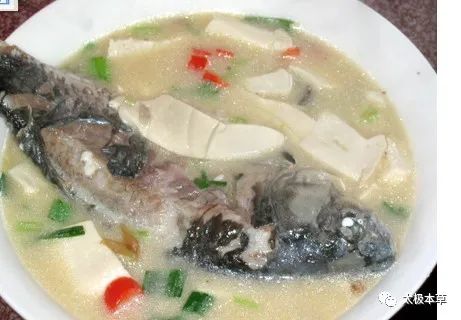 河南博爱豆腐汤，传统美食的魅力与家常做法解析
