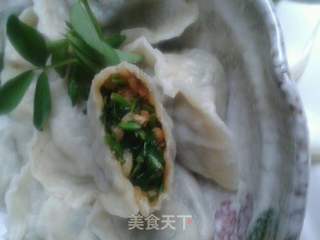 苜蓿素馅饺子的美味与营养，传统与现代的完美融合