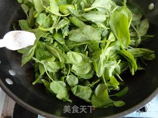 豆苗菜的做法