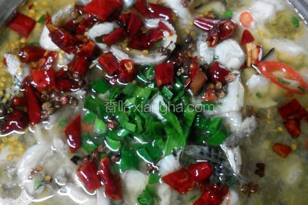 黑臭豆腐煮鱼的做法