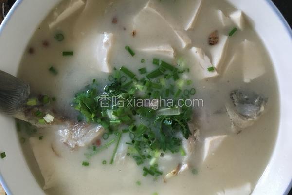 鱼加豆腐汤的做法