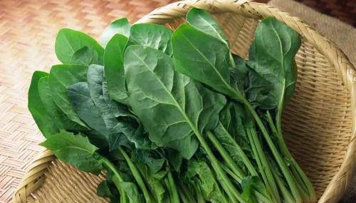 瘦肉菠菜汤，滋养身心的一道家常美味
