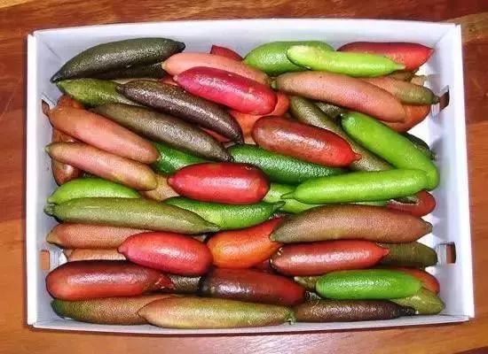 七七果的神奇魅力，食材介绍、作用功效与简单做法解析