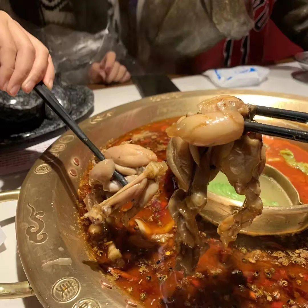 猪全蹄的魅力，滋补美食的制作与享用指南