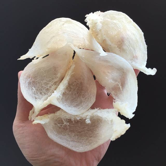 燕窝简易入门，揭秘燕窝的神秘面纱与家常做法