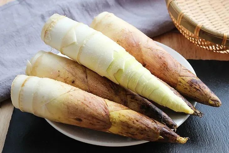 笋包之美，揭秘这道山野美食的独特魅力与制作秘诀