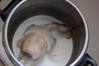 鸽子汤的做法和做法窍门