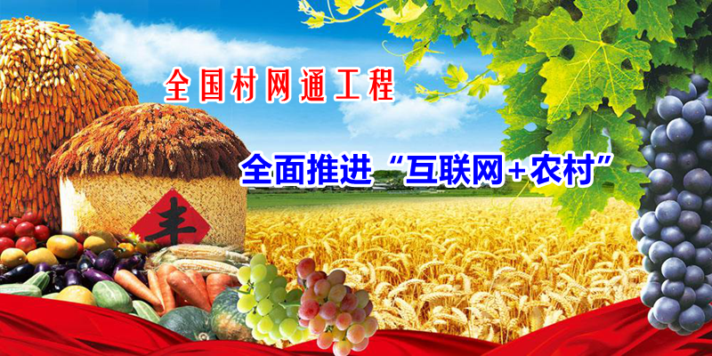 秋季养生粥，滋润身心，迎接丰收季节的温暖滋养