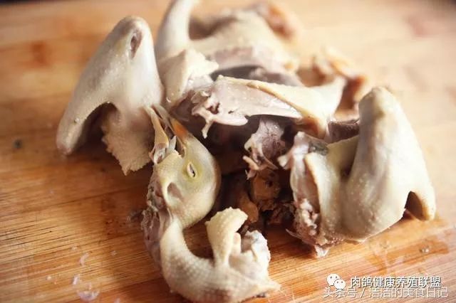 鸽子汤的做法不放葱