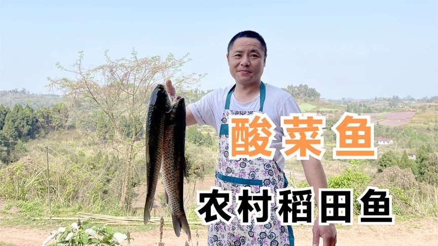 稻田酸鱼的做法大全