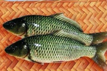 鱼的花样定型做法