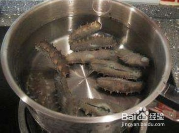 海参泡发技巧大揭秘，如何让海参焕发鲜美活力？