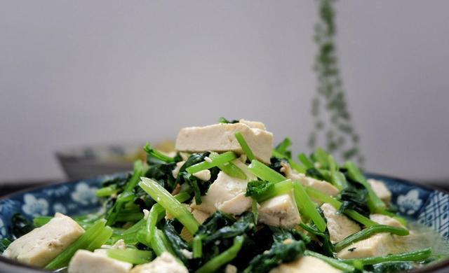 豆腐茼蒿肉的美食之旅，营养均衡的佳肴制作指南