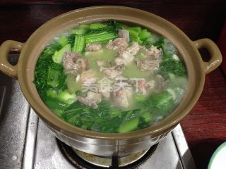 艾叶草煲排骨的做法窍门