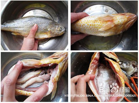 山东鱼的做法视频下载