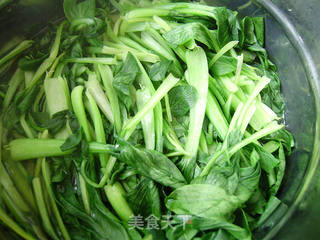 云南豆腐加青菜，家常美食中的绿色韵味