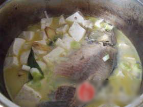经典豆腐汤的做法视频