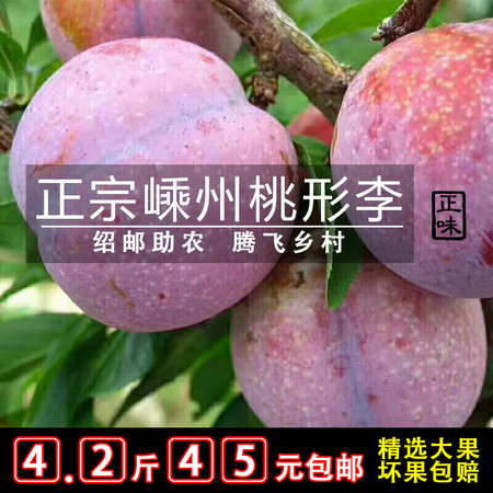红心李的秘密，滋养身心的小甜果，简单做法大揭秘