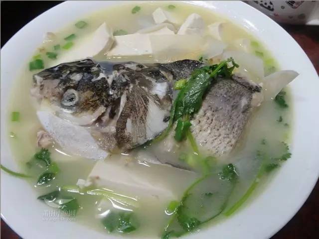 白甲鱼炖豆腐，鲜美滋补的家常佳肴