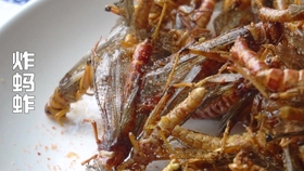 酥脆可口，家常美食——炸海米的制作秘诀