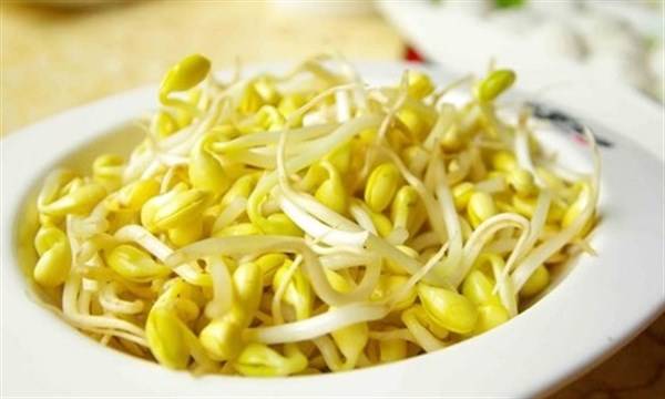 龙虾豆腐丝豆芽，海鲜与豆制品的鲜美碰撞