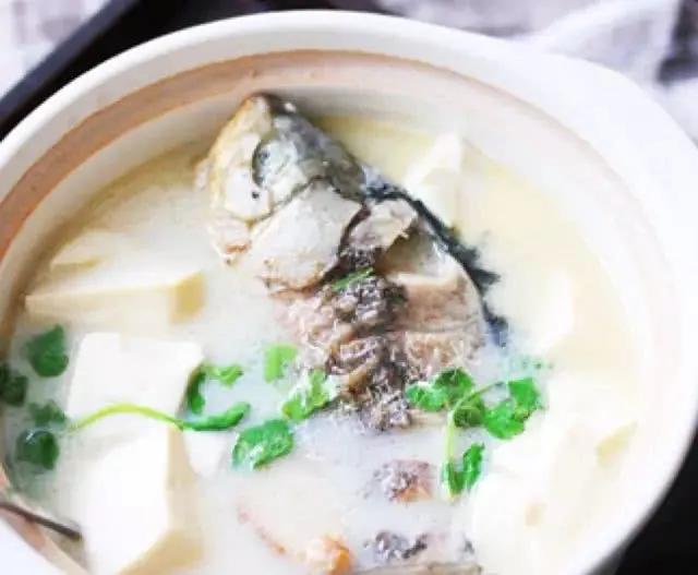 鱼豆腐汤的河南风味，滋补佳品，简单易做，家常美食新体验